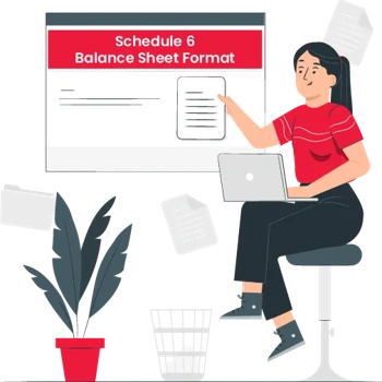 Schedule 6 Balance Sheet Format
